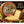 Manchego Cheese Half Cured 3 Months | Authentic Spanish Sheep Milk Cheese Wheel | 1.5-2.5 lb