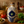 Bombacha Extra Virgin Olive Oil – Ceramic Bottle (16.9 fl oz)