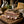 Smoking Goose Guanciale Pasture-Raised Pork Jowl for Carbonara – 8 oz